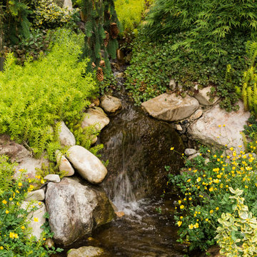 River In Backyad