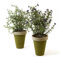 Shea's Wildflower - Tiny Flowers In Pots, Set Of 2 - Wreaths And Garlands
