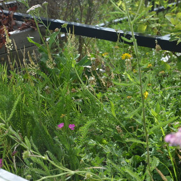 Aménagement d'une terrasse