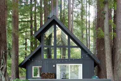 Inspiration for a modern home design remodel in San Francisco