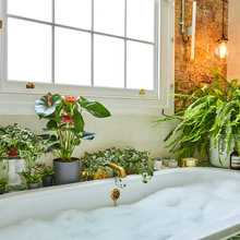 20 Interiors That Wow With Indoor Plants
