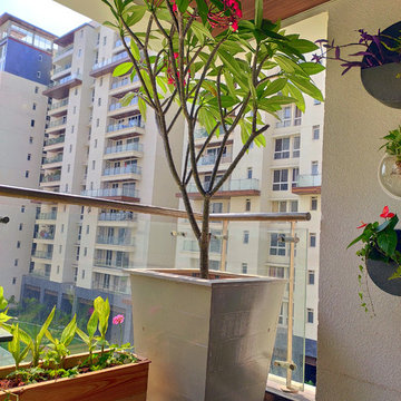 Todi's Balcony Garden