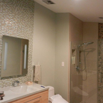 Pebble and glass tile Bathroom Renovation