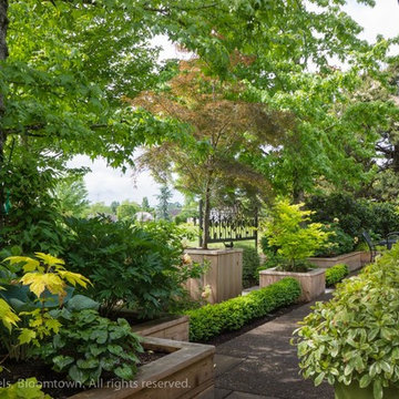 Small Space Low Maintenance