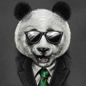 Сергій Ковальчук's photo