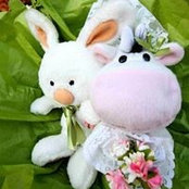 Michelle N Steven Solman's photo