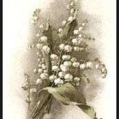 Gretchen Seibert's photo