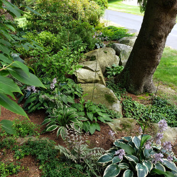 Design around existing trees