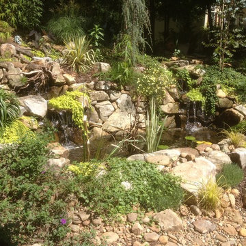 Water Features