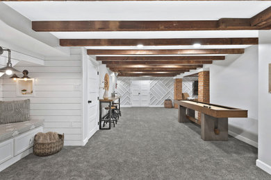 Farmhouse Basement Renovation