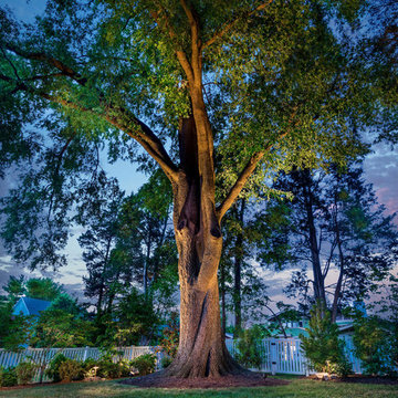 Outdoor Lighting