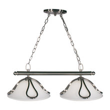 Francie's Dining room chandelier