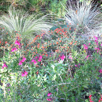 Flower Beds