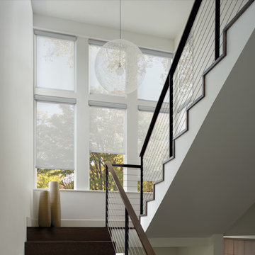 Entry Designer Screen Shades