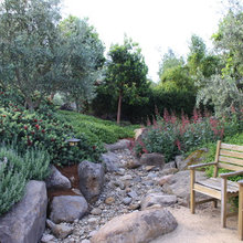 Dry Creekbed