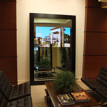 In-Mirror TVs