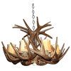 Reproduction Antler Whitetail Chandelier, Large, With Parchment Shades