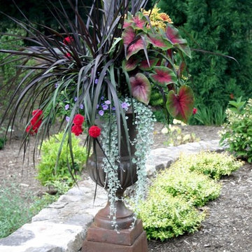 Container Gardening
