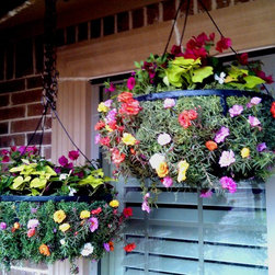 Container Garndening - Outdoor Pots And Planters