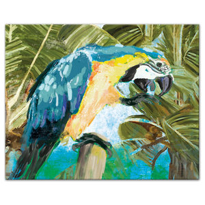 Think Tank Two Macaws Framed 16x20