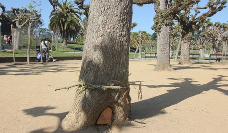 Did Elves Make a Home in a San Francisco Park?
