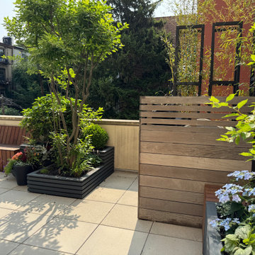 Carroll Gardens Rooftop Terrace