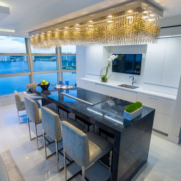 Ultra-Contemporary Miami kitchen