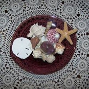 Diane Walsh Carter's photo