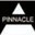Pinnacle lofts edinburgh