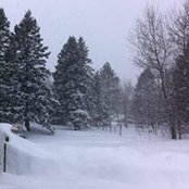 Nancy Kolquist's photo