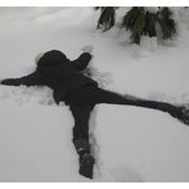 Anne Wheeler's photo
