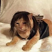 Richie Li's photo