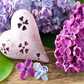 Kathy Rivas's photo