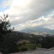 Adi Abdo's photo