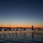Sophie Thieffry's photo