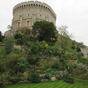 Gwen Ginter's photo