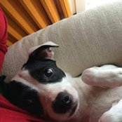 Sheila Diz's photo