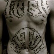Michael Morrissey's photo