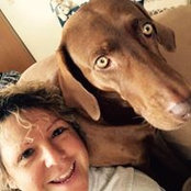 Janet Roush's photo