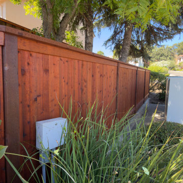 Complete Backyard & Landscape Renovation