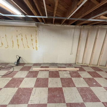 Rufus Basement Finishing