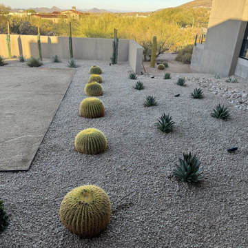 Cactus-Centric, Desert Refined in Scottsdale