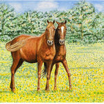 Betsy Drake - Horses Door Mat 18x26 - These decorative floor mats are made with a synthetic, low pile washable material that will stand up to years of wear. They have a non-slip rubber backing and feature art made by artists Dick Hamilton and Betsy Drake of Betsy Drake Interiors. All of our items are made in the USA. Our small door mats measure 18x26 and our larger mats measure 30x50. Enjoy a colorful design that will last for years to come.