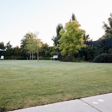 Glen Iris