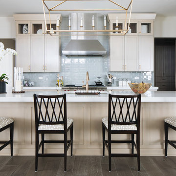 Transitional Suburban Chicago Kitchen