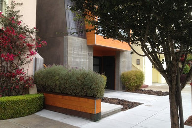 Design ideas for a modern home in San Francisco.