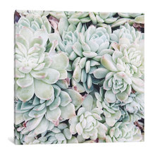 Wall hangings/Decor