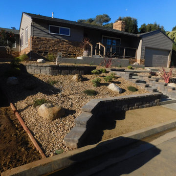 Point Loma Front Yard
