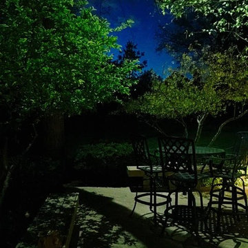 Night Landscape Lighting