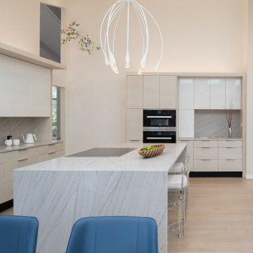 Contemporary with Neutral Colorway in Potomac, MD